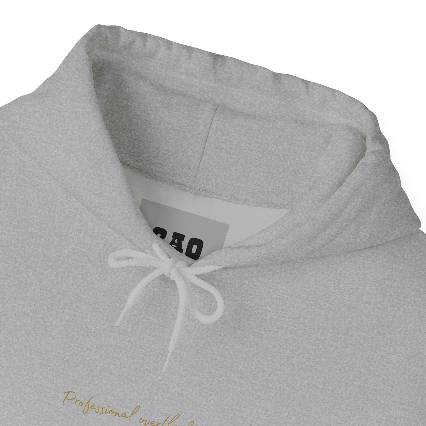 Elegant Minimalist Unisex Hoodie, Cozy Sweatshirt for Everyday Wear, Gift for Him or Her, Casual Fashion, Trendy Outfit